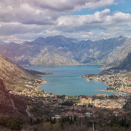 The Nest - Urban Family Place Kotor Eksteriør bilde