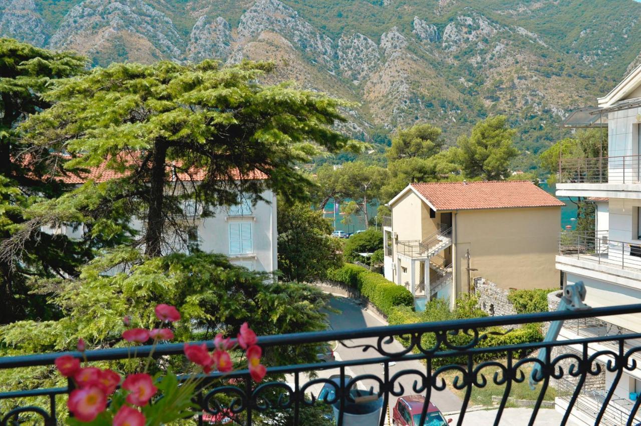 The Nest - Urban Family Place Kotor Eksteriør bilde