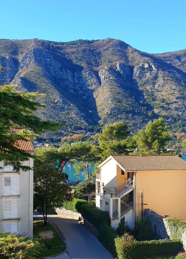 The Nest - Urban Family Place Kotor Eksteriør bilde